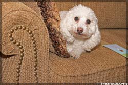 IMG_8992_resize