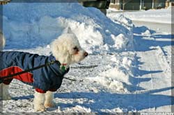 IMG_3518_resize