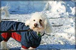 IMG_3519_resize