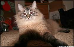 IMG_8205_resize