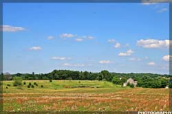 IMG_6206_resize