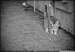 IMG_8440_resize
