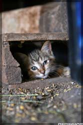 IMG_8441_resize