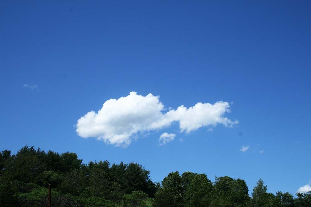 IMG_1947_resize
