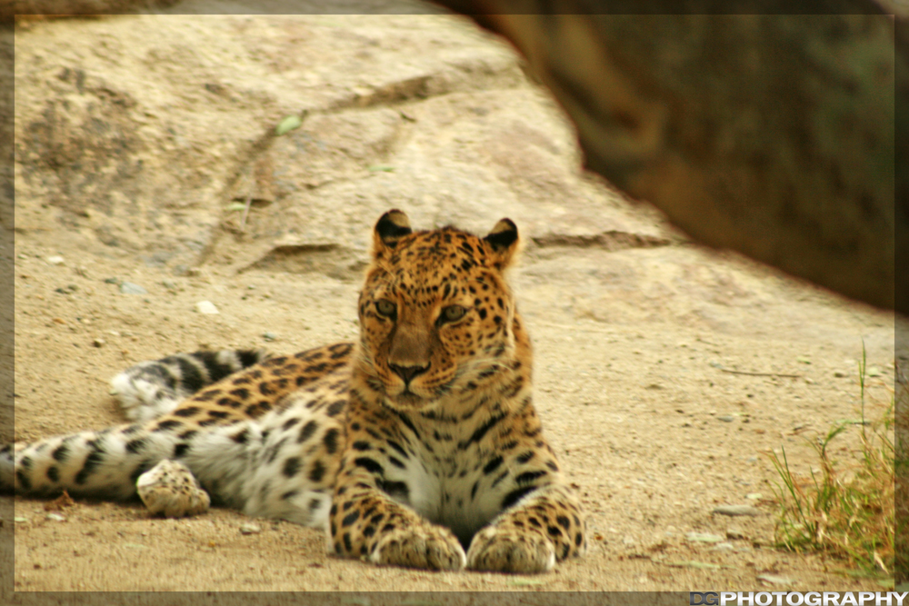 IMG_3414_resize