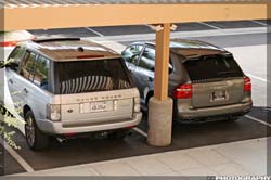 IMG_3335_resize