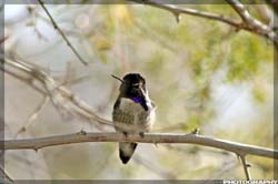 IMG_3352_resize