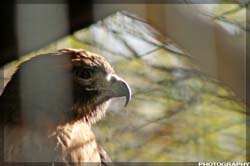IMG_3355_resize