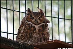 IMG_3364_resize