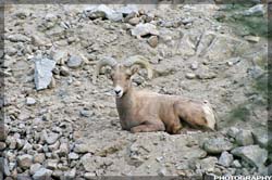 IMG_3396_resize