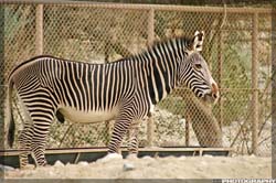 IMG_3405_resize
