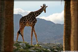 IMG_3425_resize