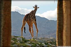 IMG_3426_resize