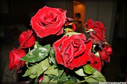 IMG_3194_resize