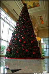 IMG_3204_resize