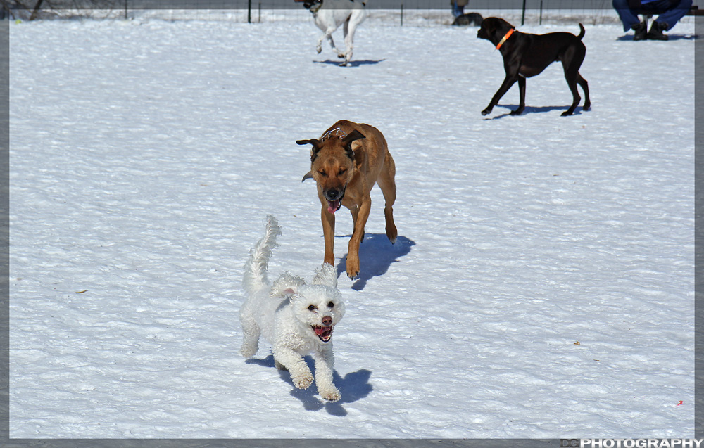 IMG_0037_resize