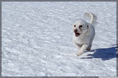 IMG_0026_resize