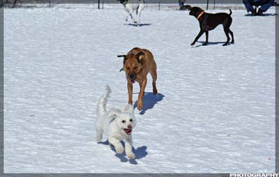 IMG_0037_resize
