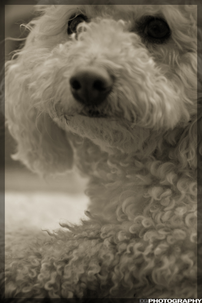 IMG_8241_resize_bw