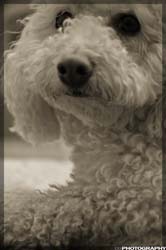 IMG_8241_resize_bw