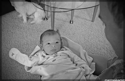 IMG_0381_resize