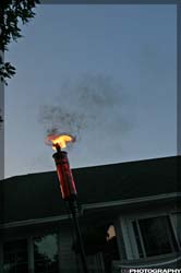 IMG_8618_resize