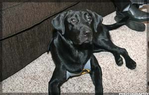 IMG_0006_resize