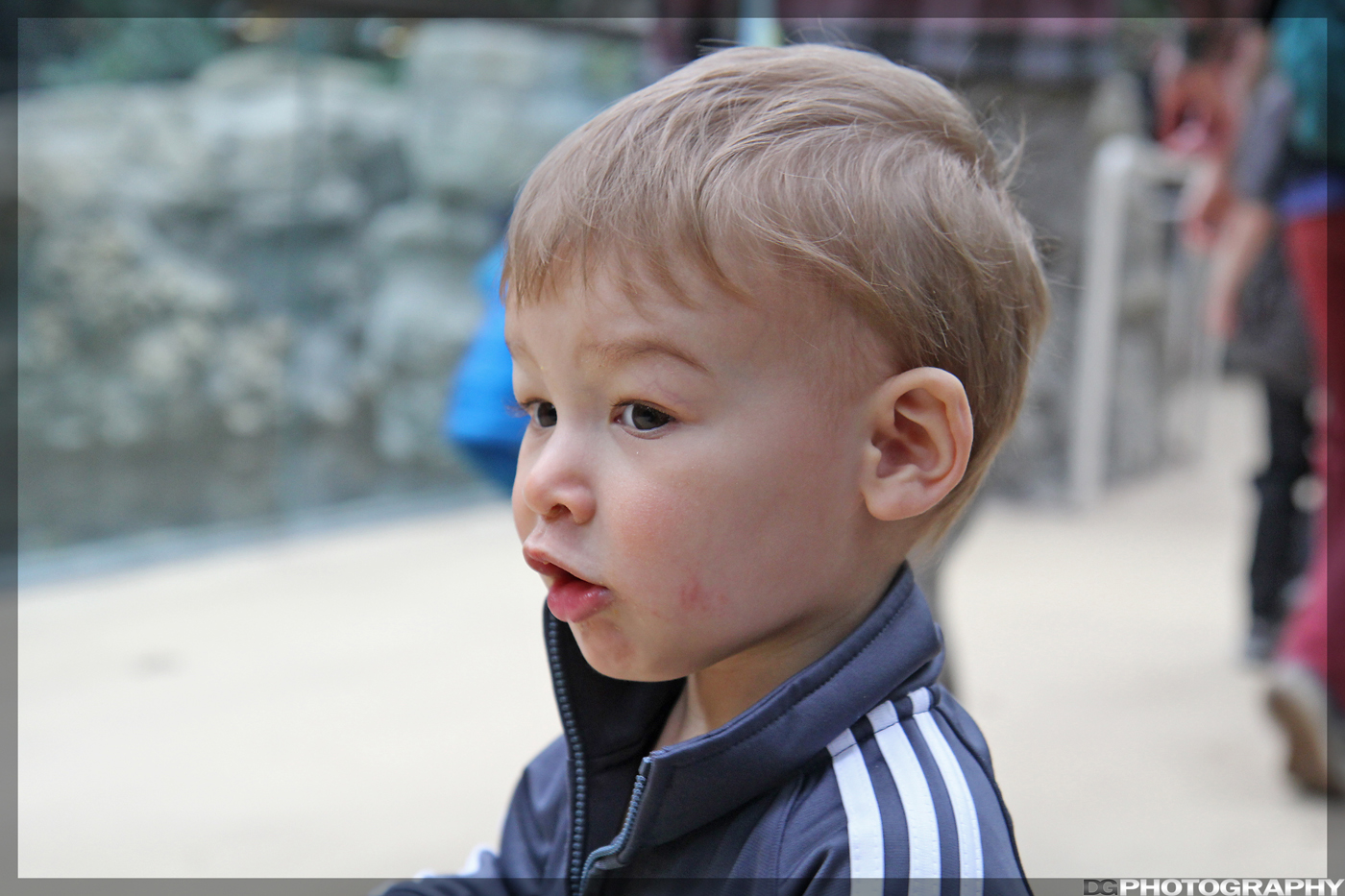 IMG_2554_resize