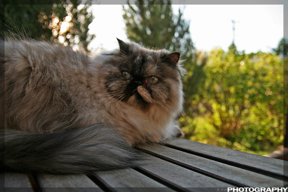IMG_5760_resize