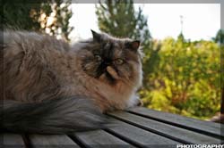 IMG_5760_resize