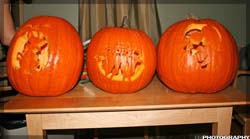 IMG_2954_resize