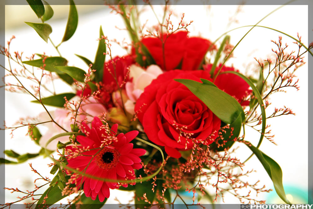 IMG_6825_resize_web